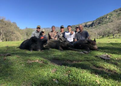 Oak Ridge Outfitter - group hog hunt