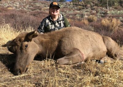 Oak Ridge Outfitter - elk hunt