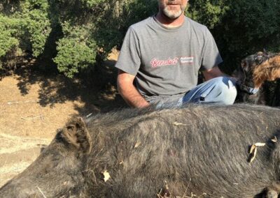 Oak Ridge Outfitter - solo hog hunt