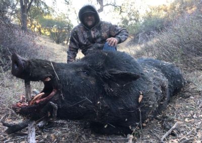 Oak Ridge Outfitter - hog hunt