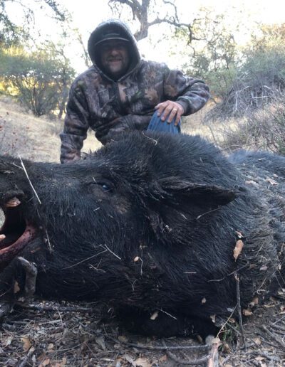 Oak Ridge Outfitter - hog hunt